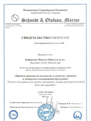 Fizuli Bayramov Shmidt Olofson Marine Fizuli Bayramov Shmidt Olofson Marine